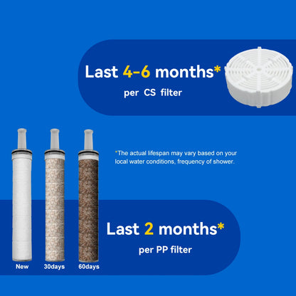 MaxShower™ by ALTHY – High-Pressure Spa Shower Filter